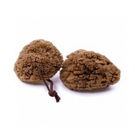 hnědá minerální houba