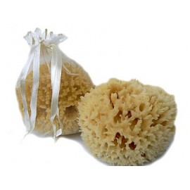 PŘÍRODNÍ MOŘSKÁ HOUBA PRO DĚTI  8-9 cm