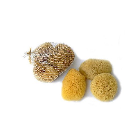 Přírodní kosmetická houba