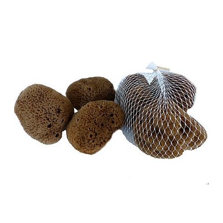 Přírodní kosmetická houba