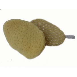 Houba Sloní ucho 10 cm vhodná na peeling