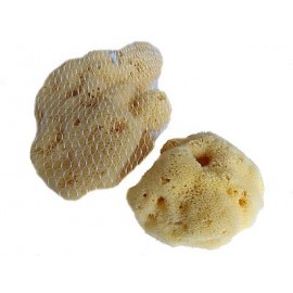 PŘÍRODNÍ MOŘSKÁ HOUBA - jaderská 8 cm